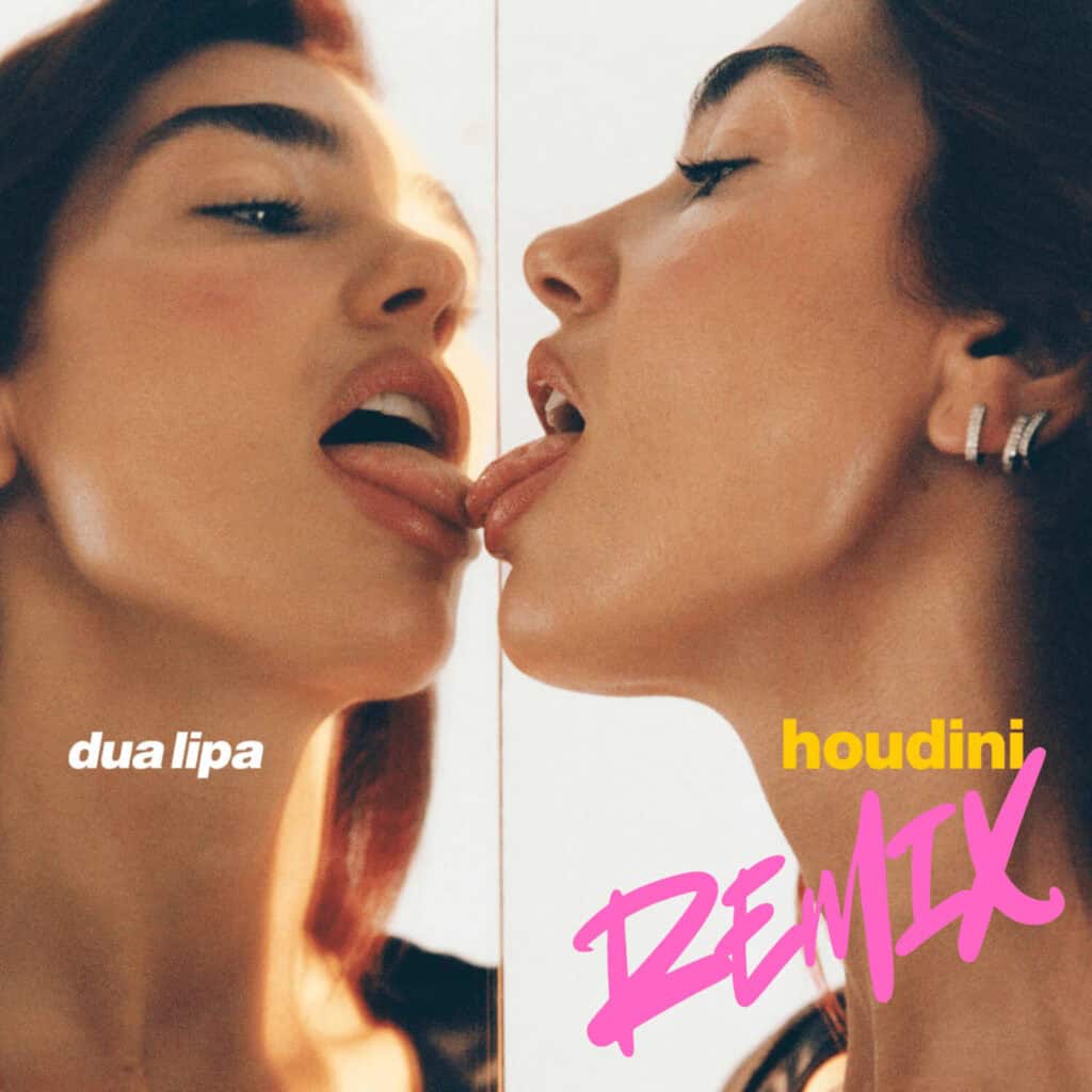 dua lipa Houdini remix cover